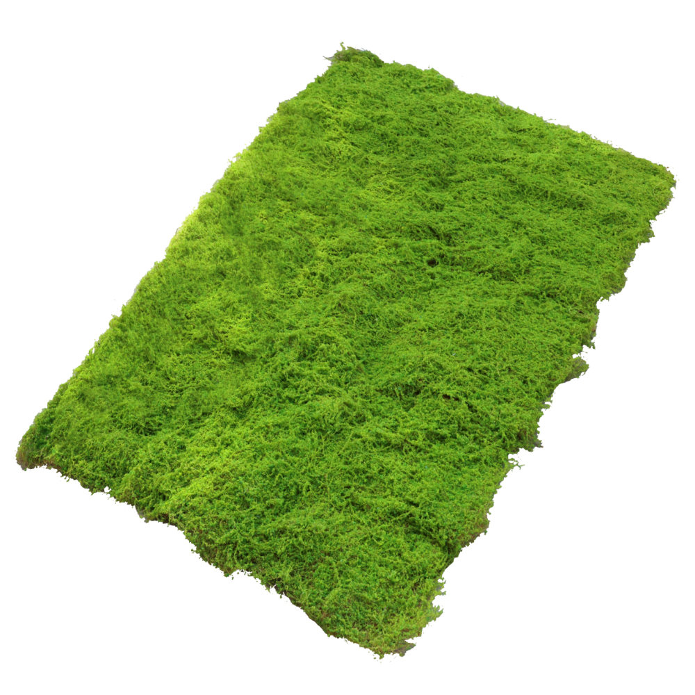 Preserved Moss Sheet - حصيرة عشب صناعي من الطحلب الصناعي،