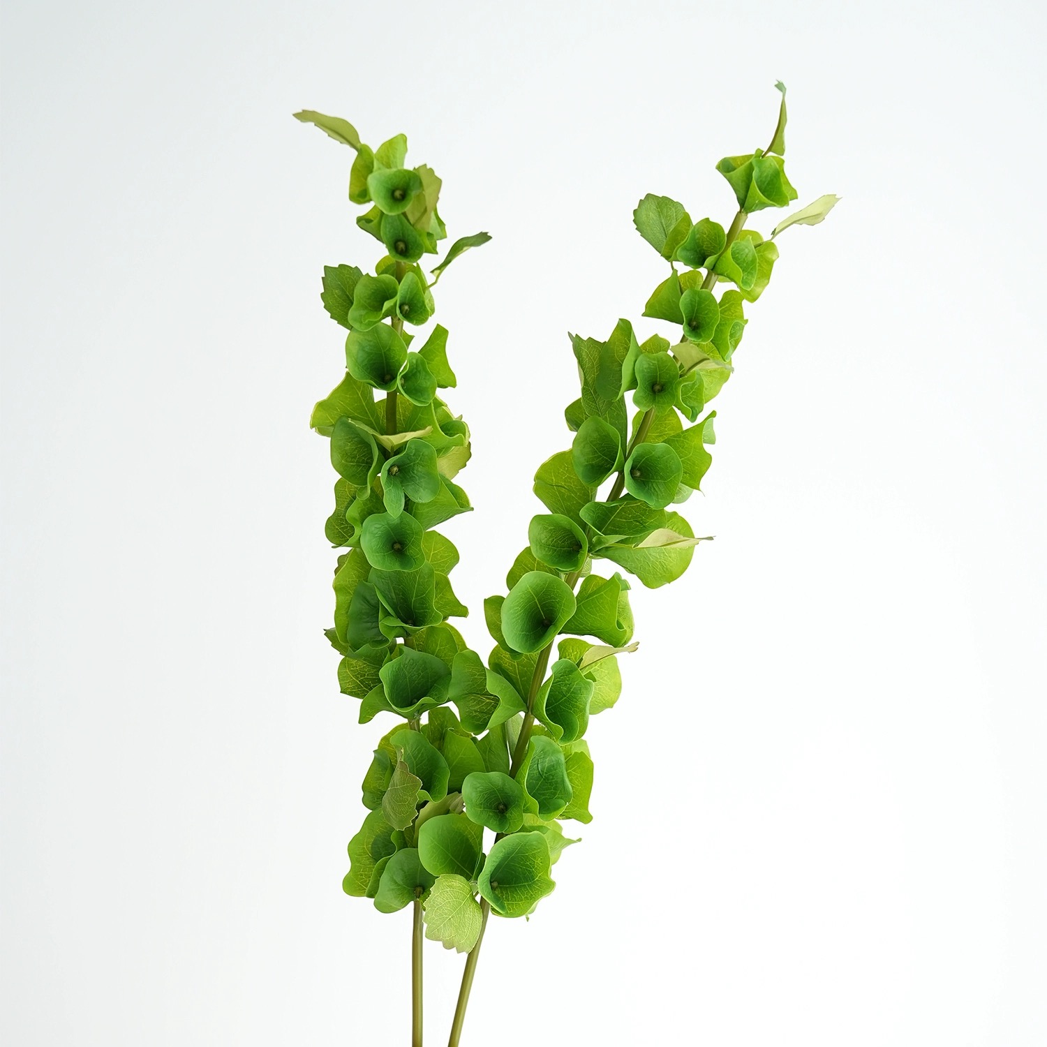 Florist Supply Bulk - قطعتان من زهور الصدفة الاصطناعية الخضراء،