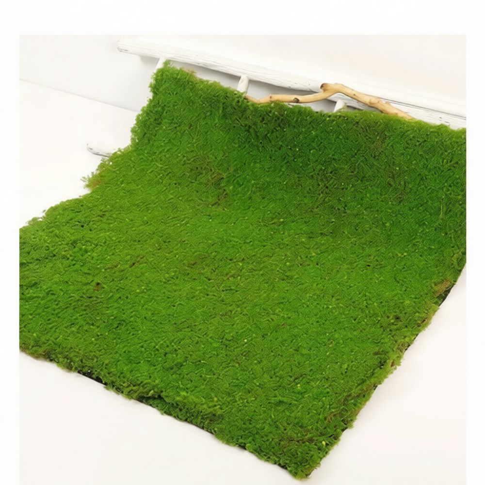 حصيرة عشب صناعي من الطحلب الصن - مراجعة Preserved Moss Sheet وسعره