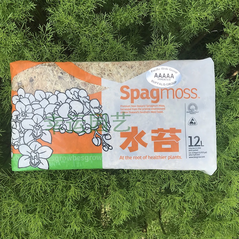 طحلب سفاغنوم نيوزيلندي 5A لزرا - مراجعة Preserved Moss Sheet وسعره