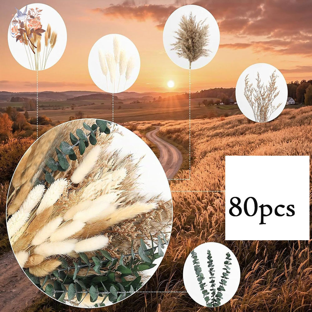 باقة من 80 قطعة من الزهور الطب - مراجعة Eucalyptus Preserved وسعره