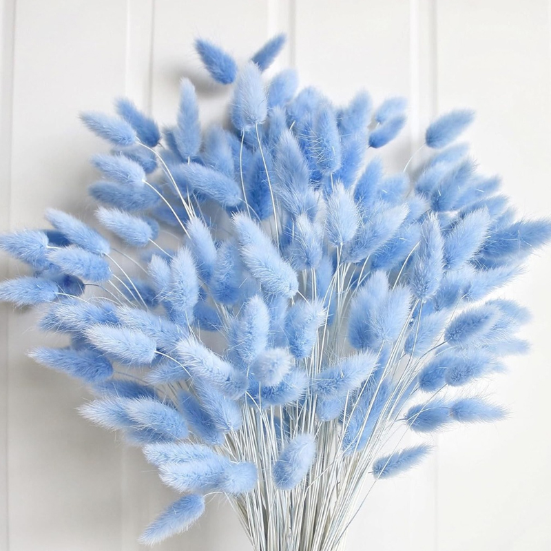 100 قطعة ذيل هير الأزرق العشب  - مراجعة Florist Supply Vases وسعره
