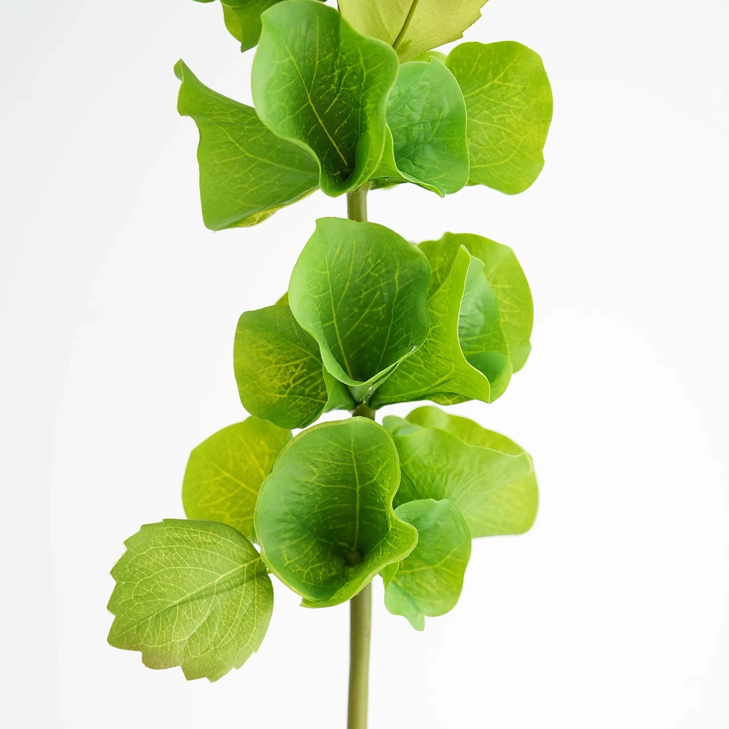 قطعتان من زهور الصدفة الاصطناع - مراجعة Florist Supply Bulk وسعره