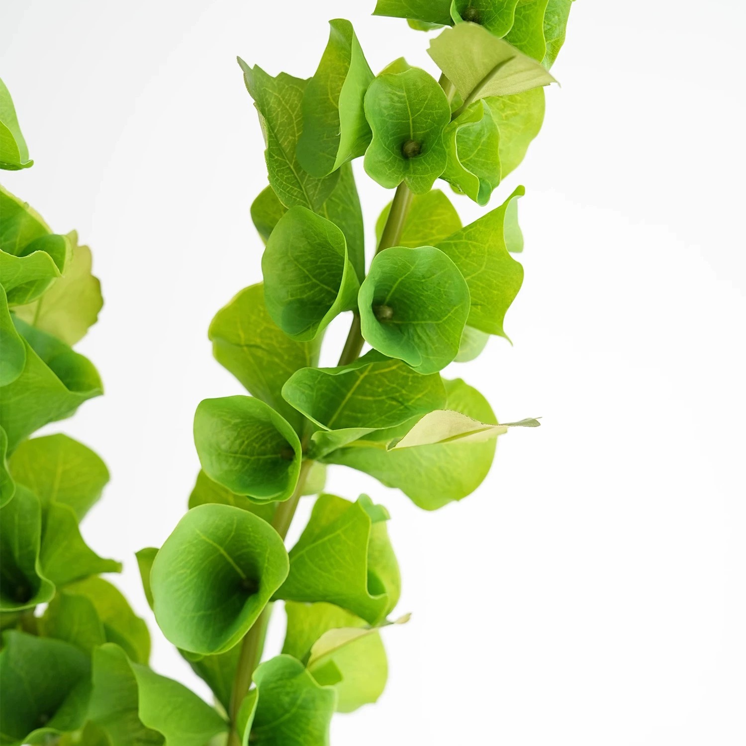 قطعتان من زهور الصدفة الاصطناع - مراجعة Florist Supply Bulk وسعره