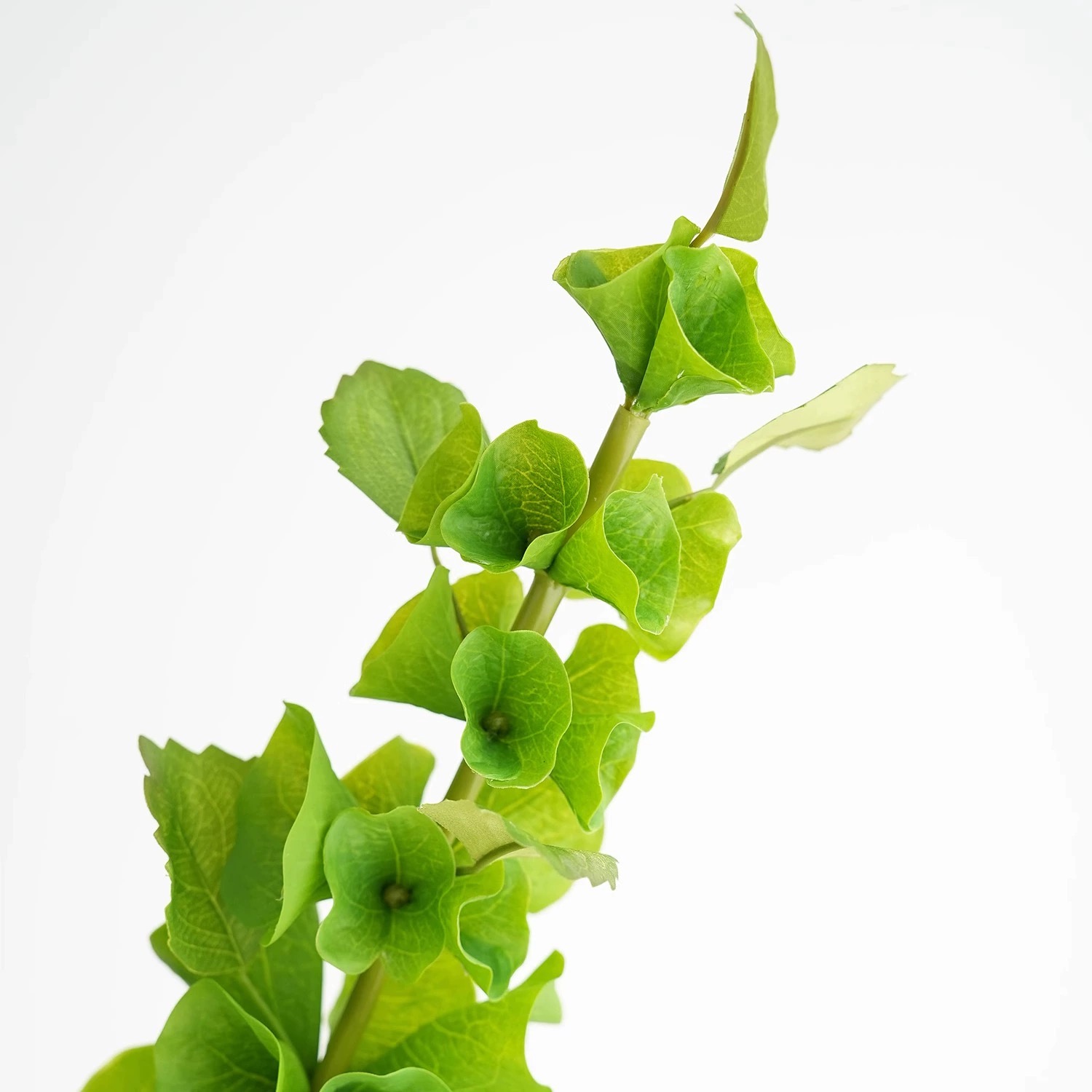 قطعتان من زهور الصدفة الاصطناع - مراجعة Florist Supply Bulk وسعره